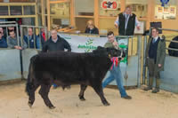 Champion Galloway (3)